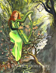 An Irish Fairy